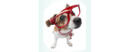 Mascotas1000 Logotipo para artículos de compras online para Mascotas productos