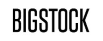 Bigstock Logotipo para artículos de Hardware y Software
