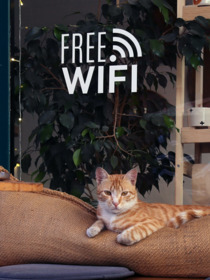 El papel de las VPN y cómo protegen los datos en Wi-Fi público