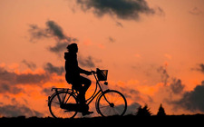 ¿Qué marcas de bicicletas son las mejores para entrenar?