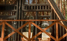 Pineca: el futuro de la construcción es de madera 
