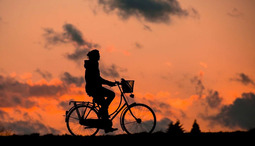 ¿Qué marcas de bicicletas son las mejores para entrenar?