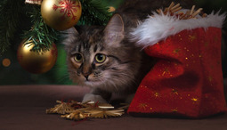 ¡Tu lista de cosas para pedir en Navidad!
