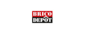 Bricodepot Logotipo para productos de Regalos Originales