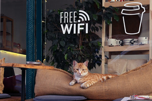 El papel de las VPN y cómo protegen los datos en Wi-Fi público