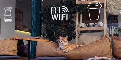 El papel de las VPN y cómo protegen los datos en Wi-Fi público