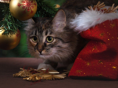 ¡Tu lista de cosas para pedir en Navidad!