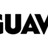 Guaw