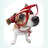 Mascotas 1000